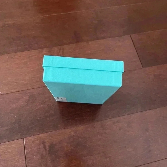 Tiffany & Co. Empty Box and Dust Cover - Picture 4 of 10